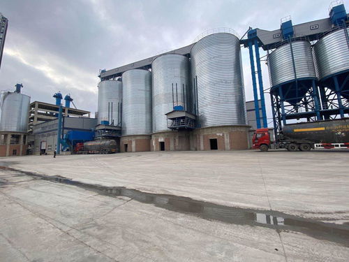 蘭西縣 民營經濟驅動高質量發展，建筑材料銷售成為強勁新動能