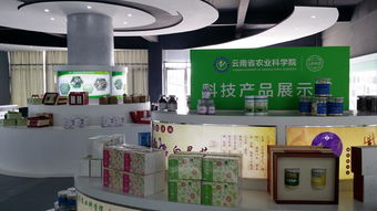 云南省農(nóng)業(yè)科學(xué)院科技產(chǎn)品電子商務(wù)營(yíng)銷中心成立，開啟智慧農(nóng)業(yè)新篇章